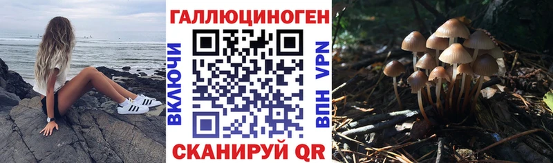 ОМГ ОМГ ссылки  купить наркотик  Дубовка  Галлюциногенные грибы Cubensis 