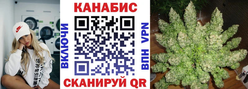 МАРИХУАНА сатива  Дубовка 